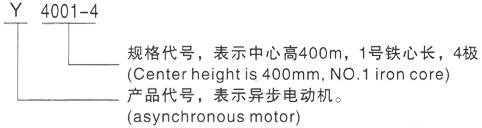 西安泰富西玛Y系列(H355-1000)高压YR5001-10/200KW三相异步电机型号说明